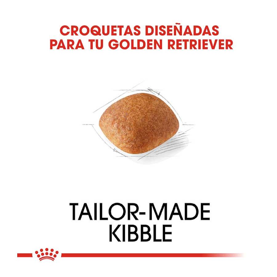 Perros Royal Canin Pienso Seco | Royal Canin Adult Golden Retriever Pienso Para Perros