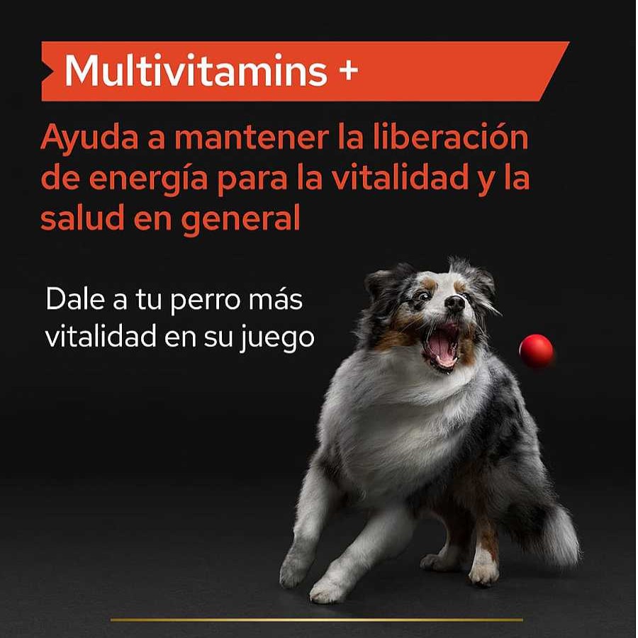 Perros Pro Plan Salud Y Complementos | Pro Plan Multivitamin Suplemento Para Perros