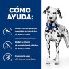 Perros Hill's Dietas Veterinarias | Hill'S Prescription Diet Urinary Care U/D Lata Para Perros