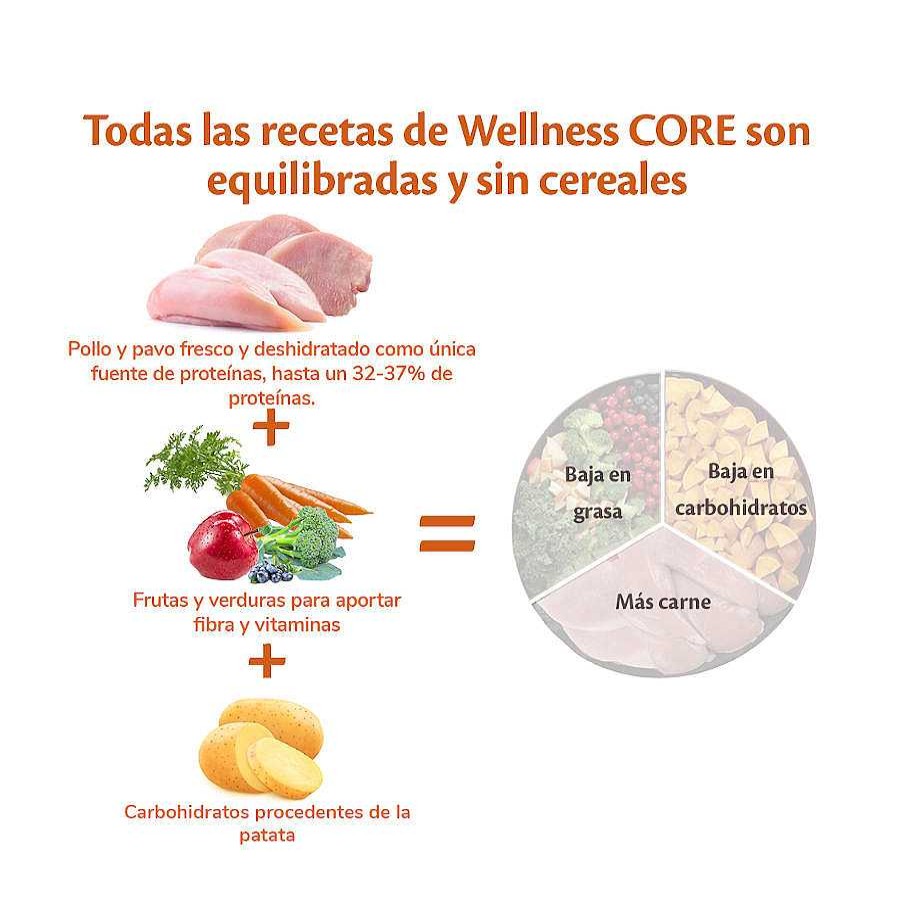 Perros Wellness Core Pienso Seco | Wellness Core Adult Medium Original Pavo Y Pollo Pienso Para Perros