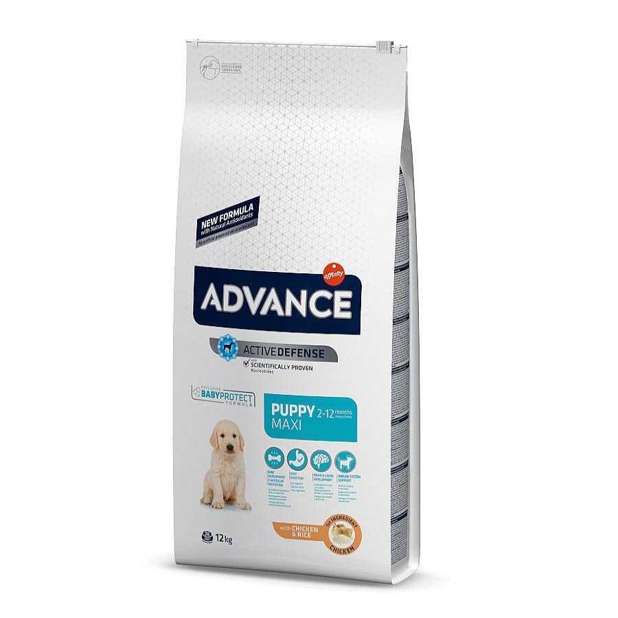 Perros Advance Pienso Seco | Advance Maxi Puppy Pollo Y Arroz Pienso Para Perros