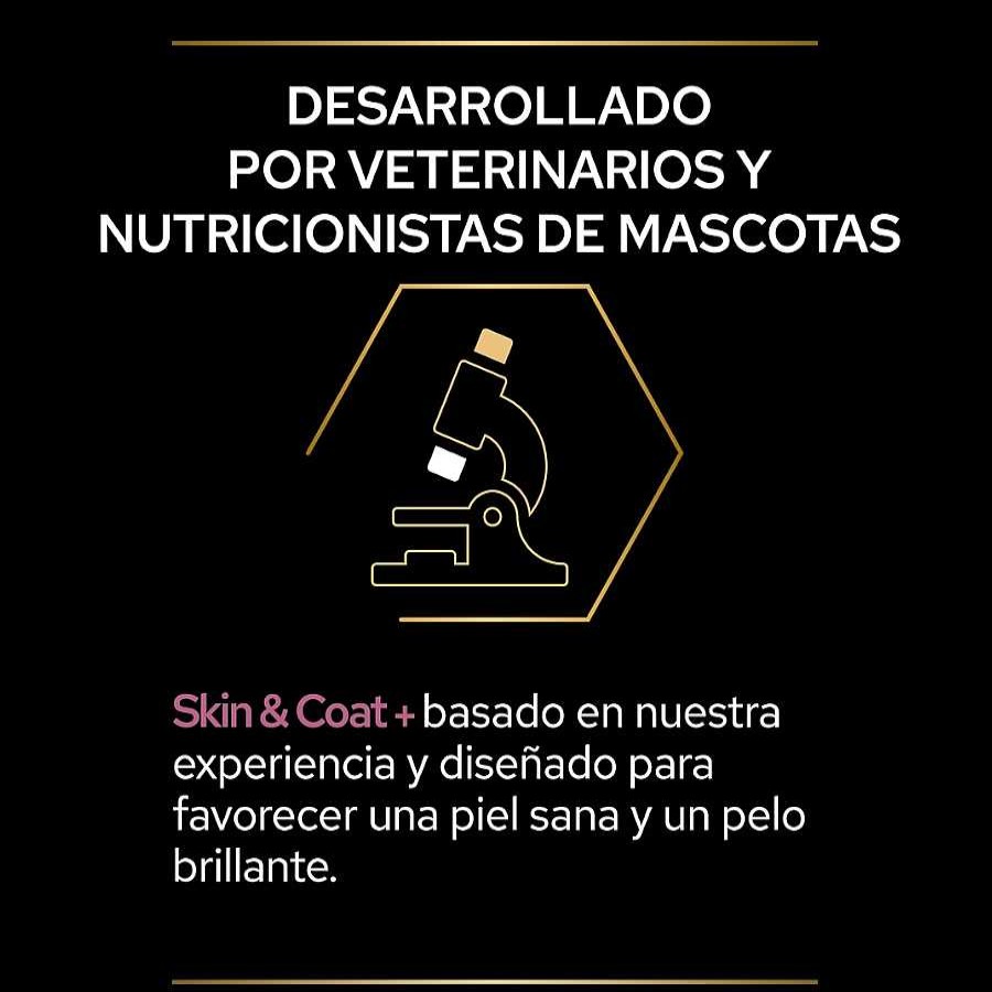 Gatos Pro Plan | Pro Plan Skin & Coat + Aceite De Salm N Noruego Para Gatos