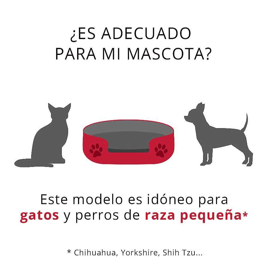 Gatos Catshion Camas | Catshion Relax Erizo Cama Igl Para Gatos