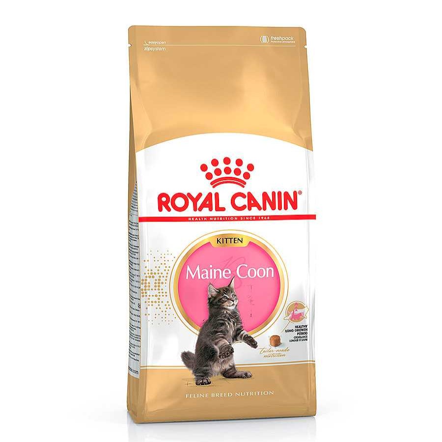 Gatos Royal Canin Pienso Seco | Royal Canin Kitten Maine Coon Pienso Para Gatos