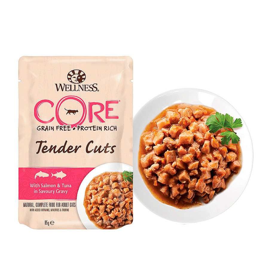 Gatos Wellness Core Comida H Meda | Wellness Core Tender Cuts Salm N Y At N Sobre En Salsa Para Gatos