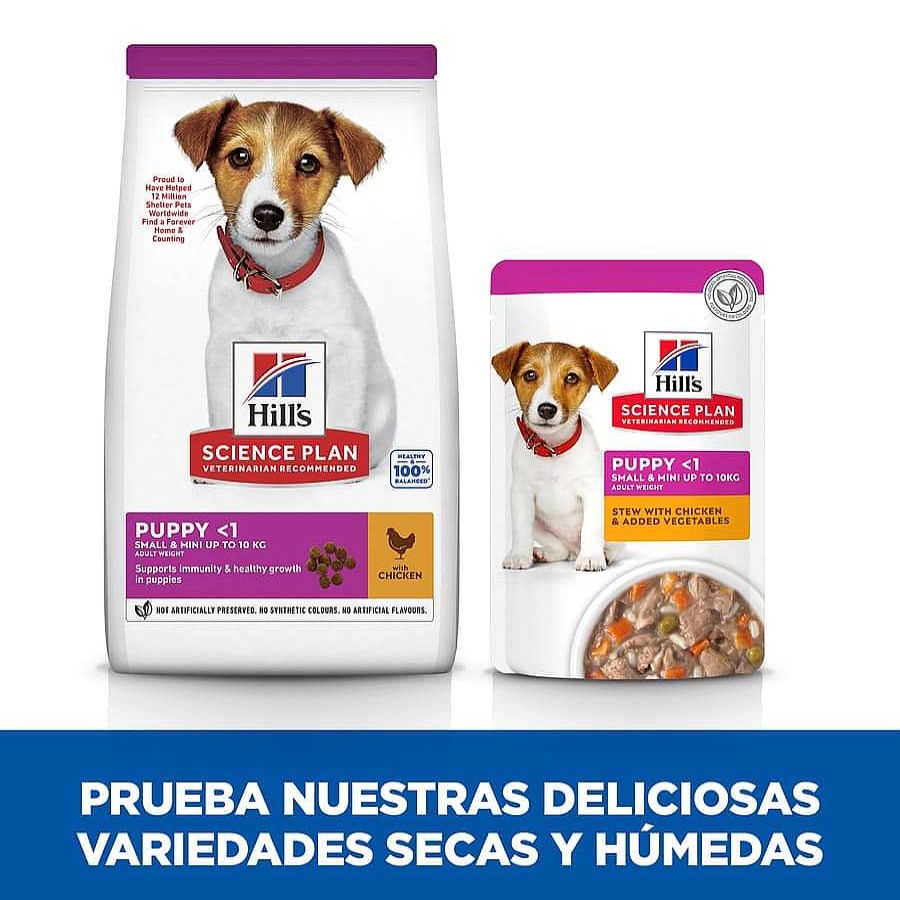 Perros Hill's Pienso Seco | Hill'S Science Plan Puppy Small & Mini Pollo Pienso Para Perros