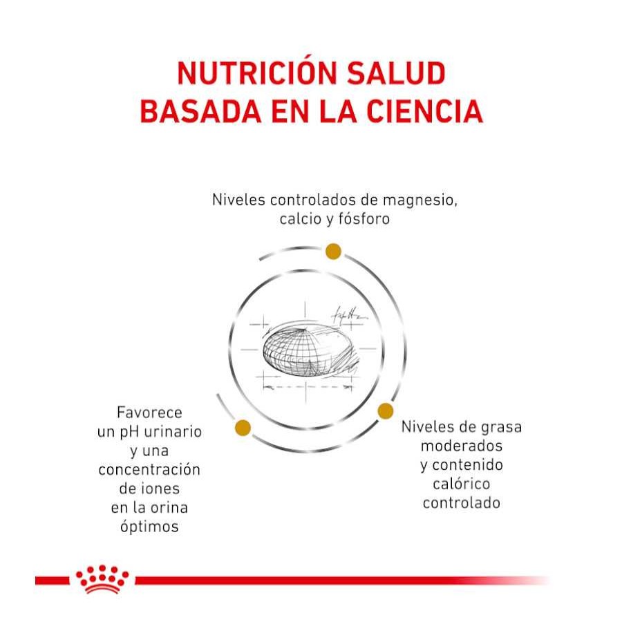 Gatos Royal Canin Comida H Meda | Royal Canin Veterinary Urinary Moderate Calorie Sobres Para Gatos