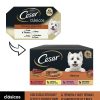 Perros Cesar Comida H Meda | Cesar Selecci N Clasicos Tarrina En Pat Para Perros - Multipack