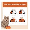 Gatos Wellness Core Pienso Seco | Wellness Core Kitten Pavo Y Pollo Pienso Para Gatos