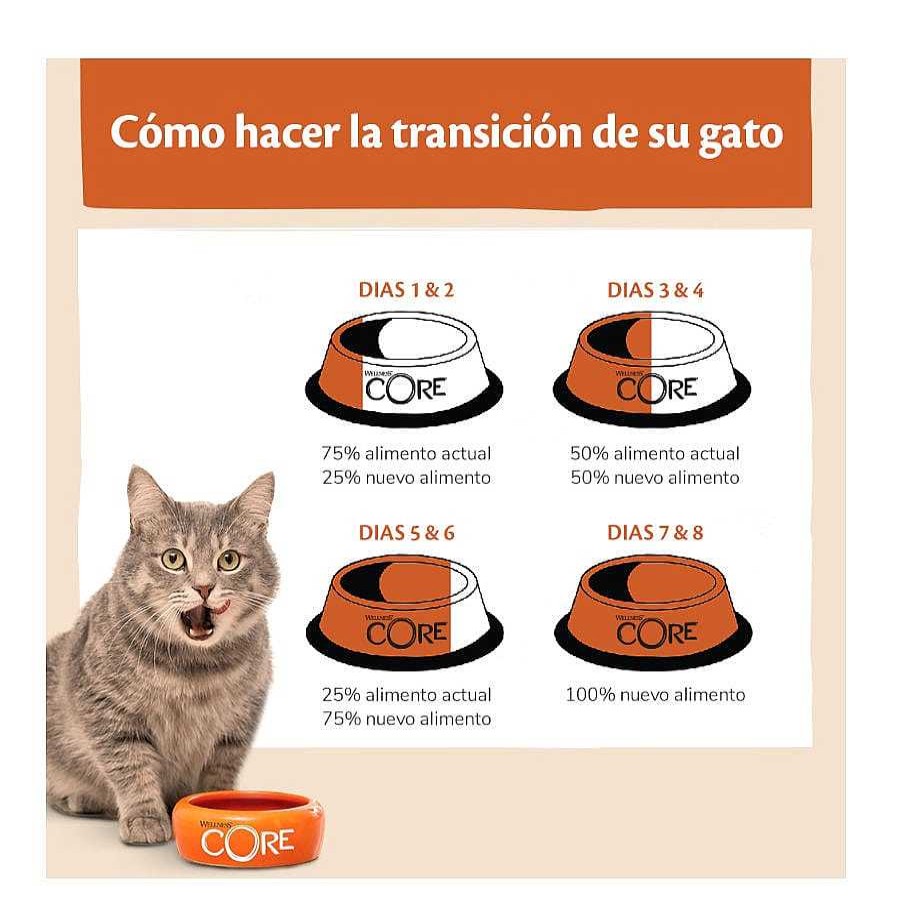 Gatos Wellness Core Pienso Seco | Wellness Core Kitten Pavo Y Pollo Pienso Para Gatos