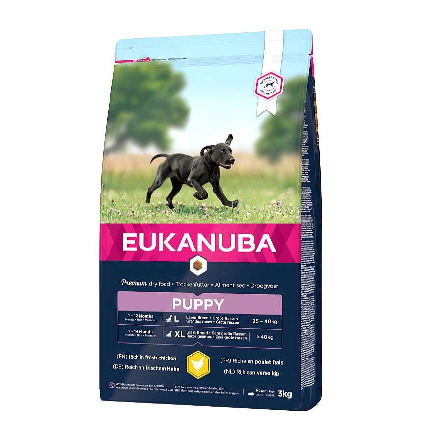 Perros Eukanuba Pienso Seco | Eukanuba Puppy Large Pollo Pienso Para Perros