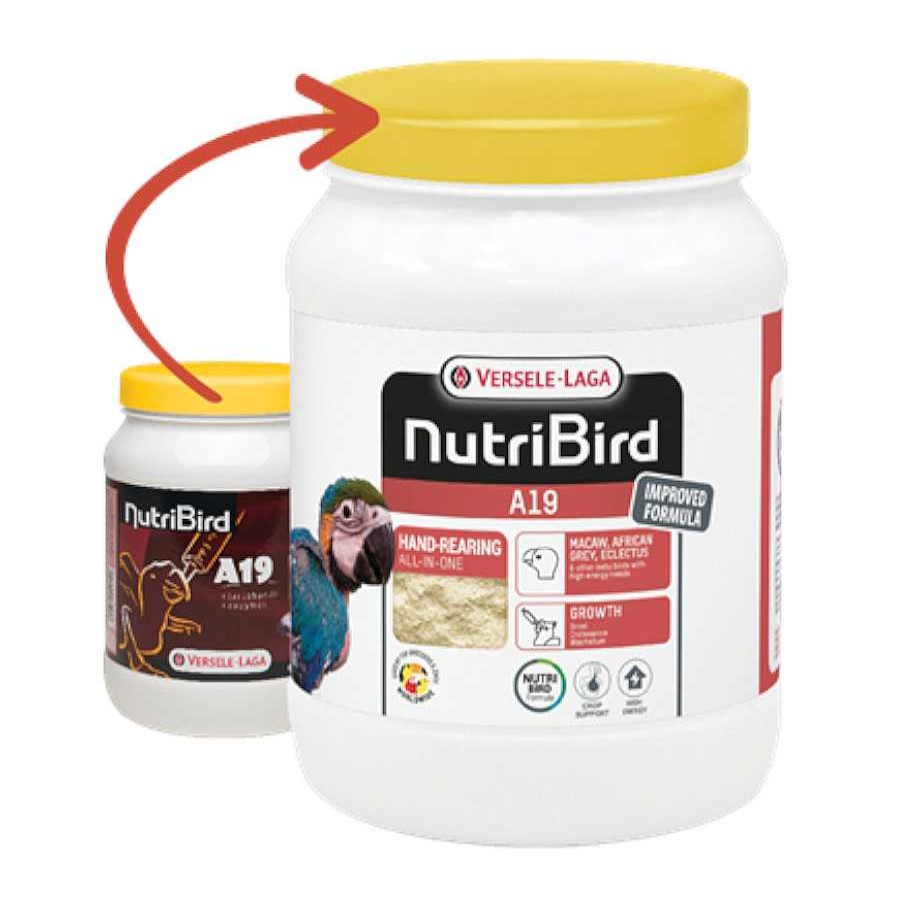 P Jaros Versele-Laga Comida Para P Jaros | Versele-Laga Nutribird A19 Papilla Para Cr A De Loros