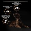 Perros Pro Plan Pienso Seco | Pro Plan Large Athletic Adult Pollo Pienso Para Perros