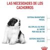 Perros Royal Canin Pienso Seco | Royal Canin Puppy Giant Pienso Para Perros