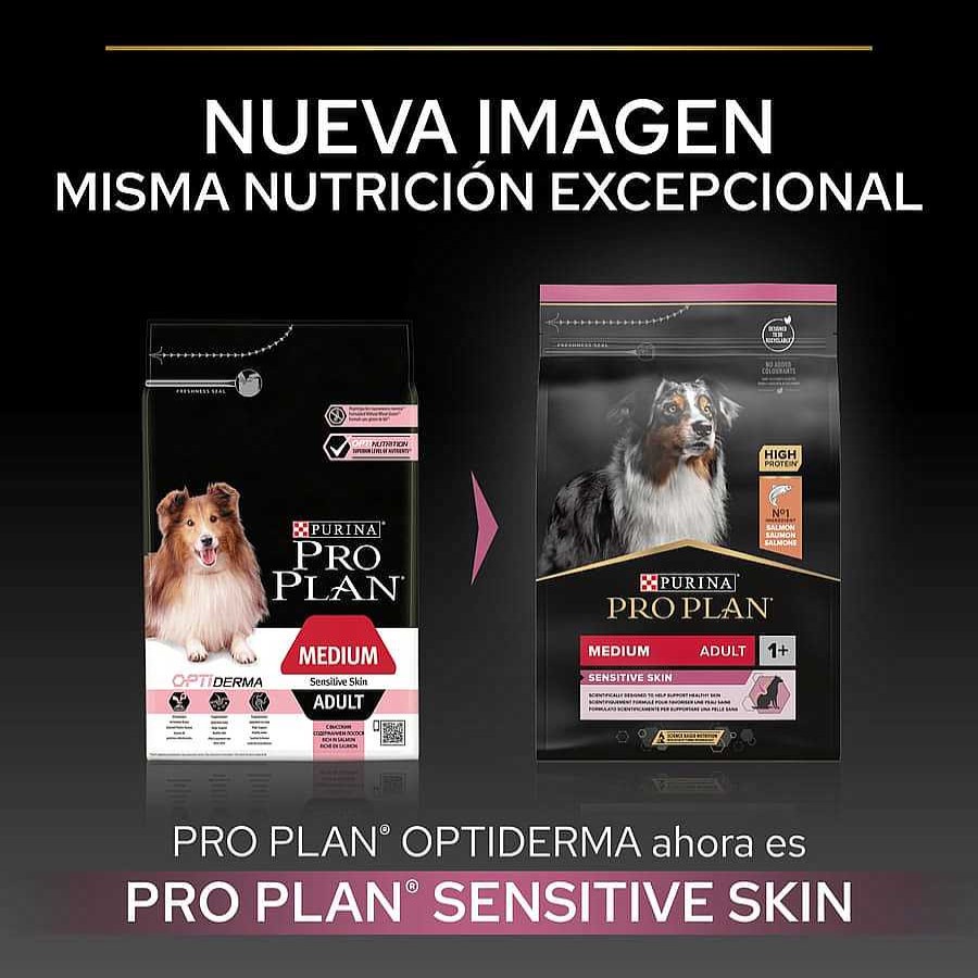 Perros Pro Plan Pienso Seco | Pro Plan Adult Medium Sensitive Skin Salm N Pienso Para Perros