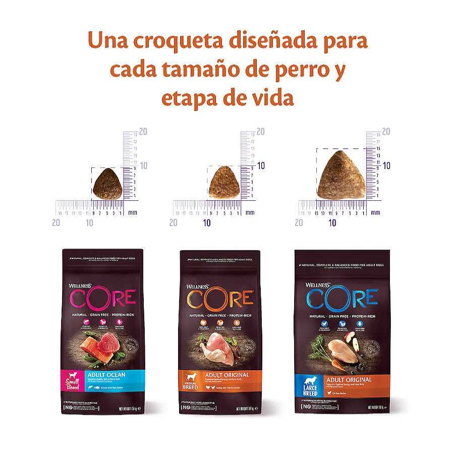 Perros Wellness Core Pienso Seco | Wellness Core Adult Small Healthy Pavo Pienso Para Perros