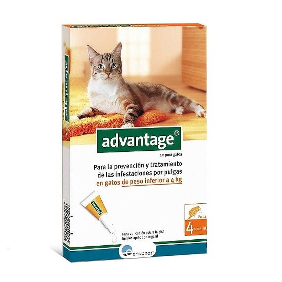 Gatos Advantage | Advantage Pipetas Antiparasitarias Para Gatos