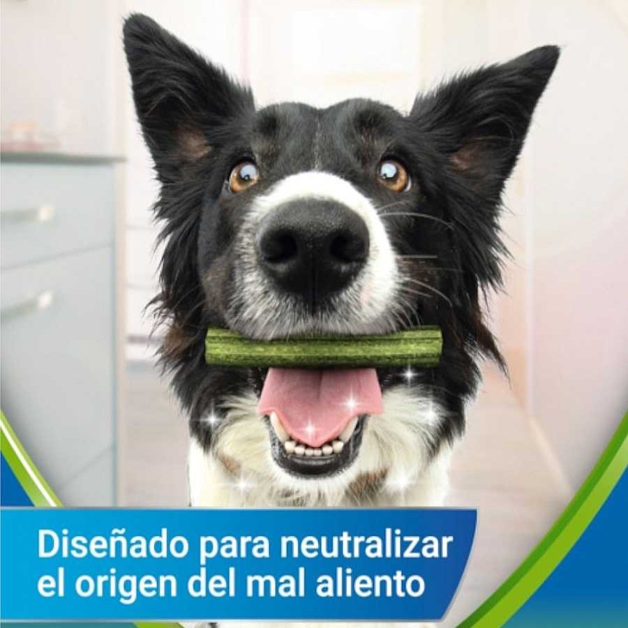 Perros Dentalife Snacks Y Chuches | Dentalife Snacks Dentales Small Activfresh Para Perros