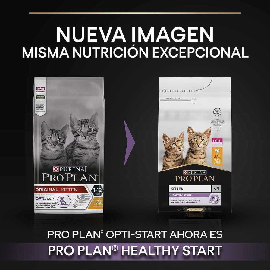 Gatos Pro Plan Pienso Seco | Pro Plan Kitten Pollo Pienso Para Gatitos