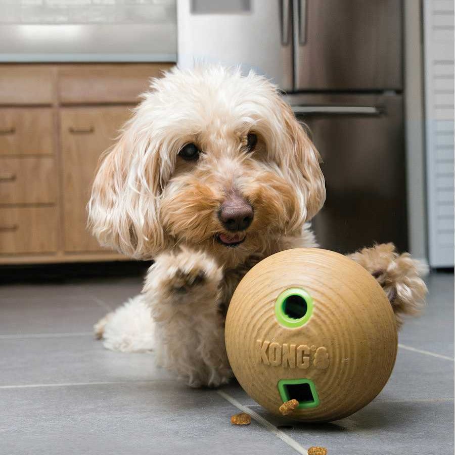 Perros Kong Juguetes | Kong Bamboo Pelota Portagolosinas Para Perros