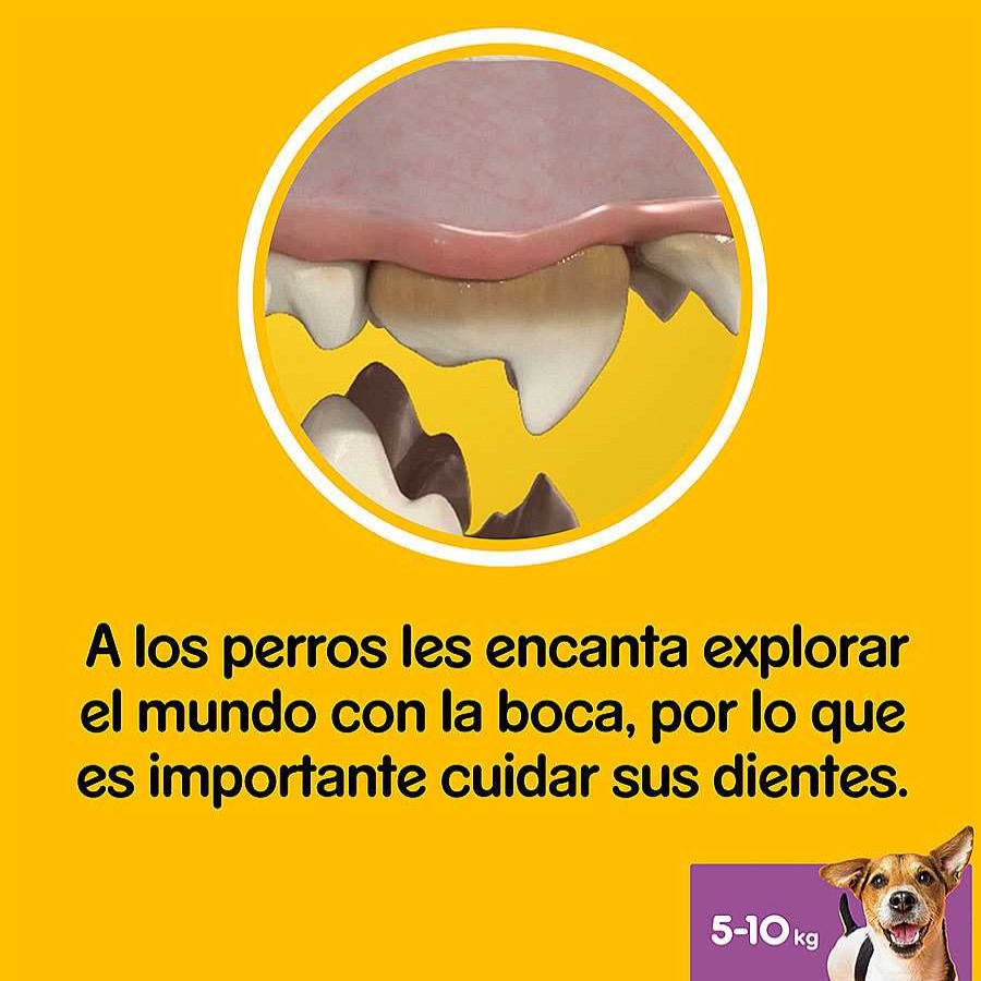 Perros Pedigree Snacks Y Chuches | Pedigree Dentastix Snacks Dentales Para Perros Peque Os