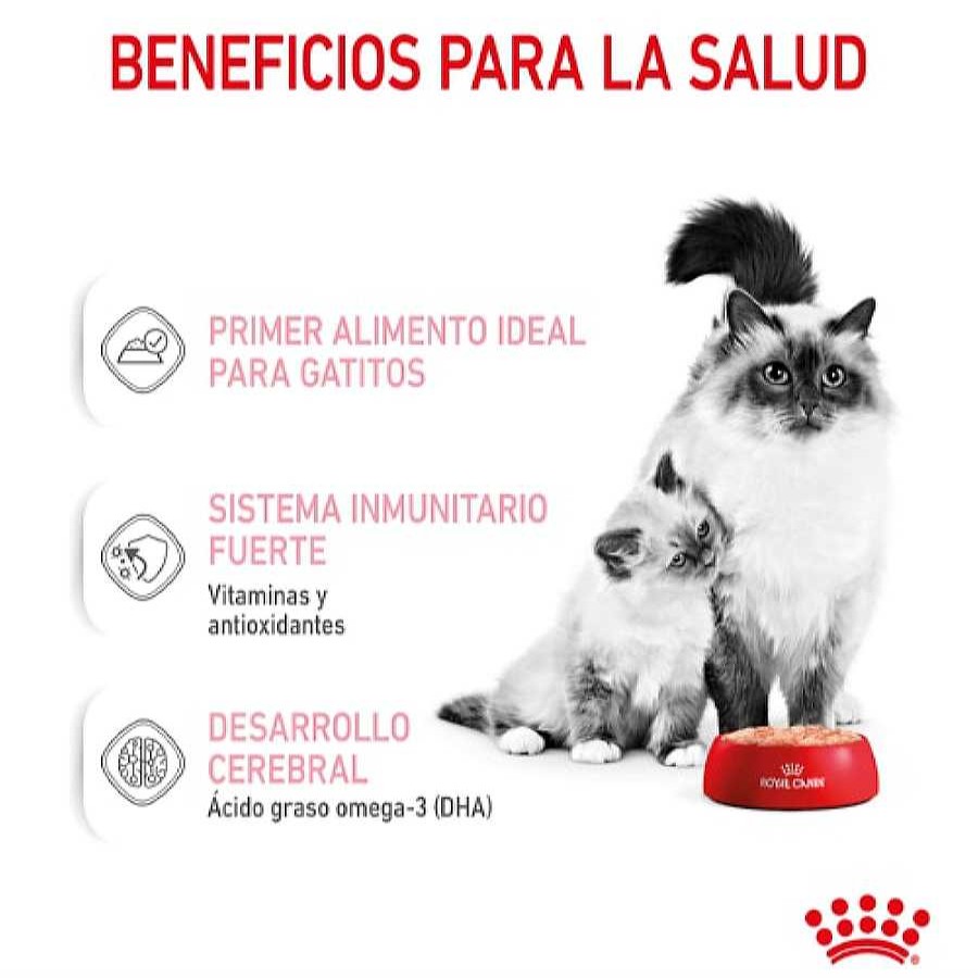 Gatos Royal Canin Comida H Meda | Royal Canin Mother & Baby Mousse Latas Para Gatos