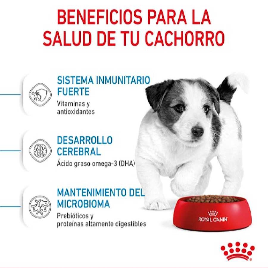 Perros Royal Canin Pienso Seco | Royal Canin Mini Puppy Pienso Para Perros