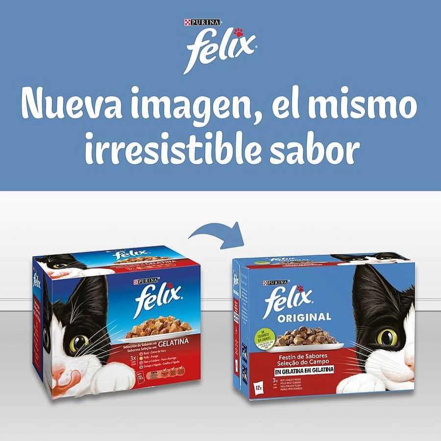 Gatos Felix Comida H Meda | Felix Seleccion Pescados Sobres En Gelatina Para Gatos - Multipack