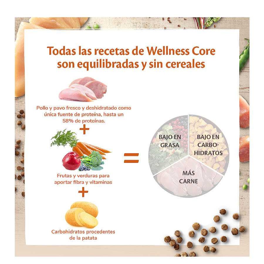 Gatos Wellness Core Pienso Seco | Wellness Core Adult Pollo Y Pavo Pienso Para Gatos