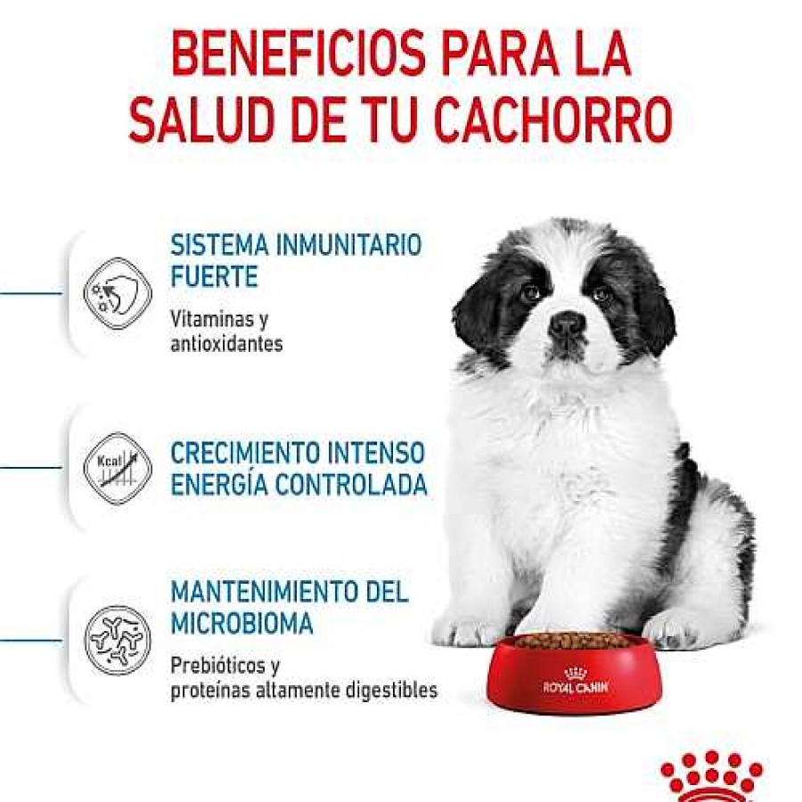 Perros Royal Canin Pienso Seco | Royal Canin Puppy Giant Pienso Para Perros