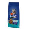 Gatos Brekkies Pienso Seco | Affinity Brekkies Salm N Y At N Pienso Para Gatos